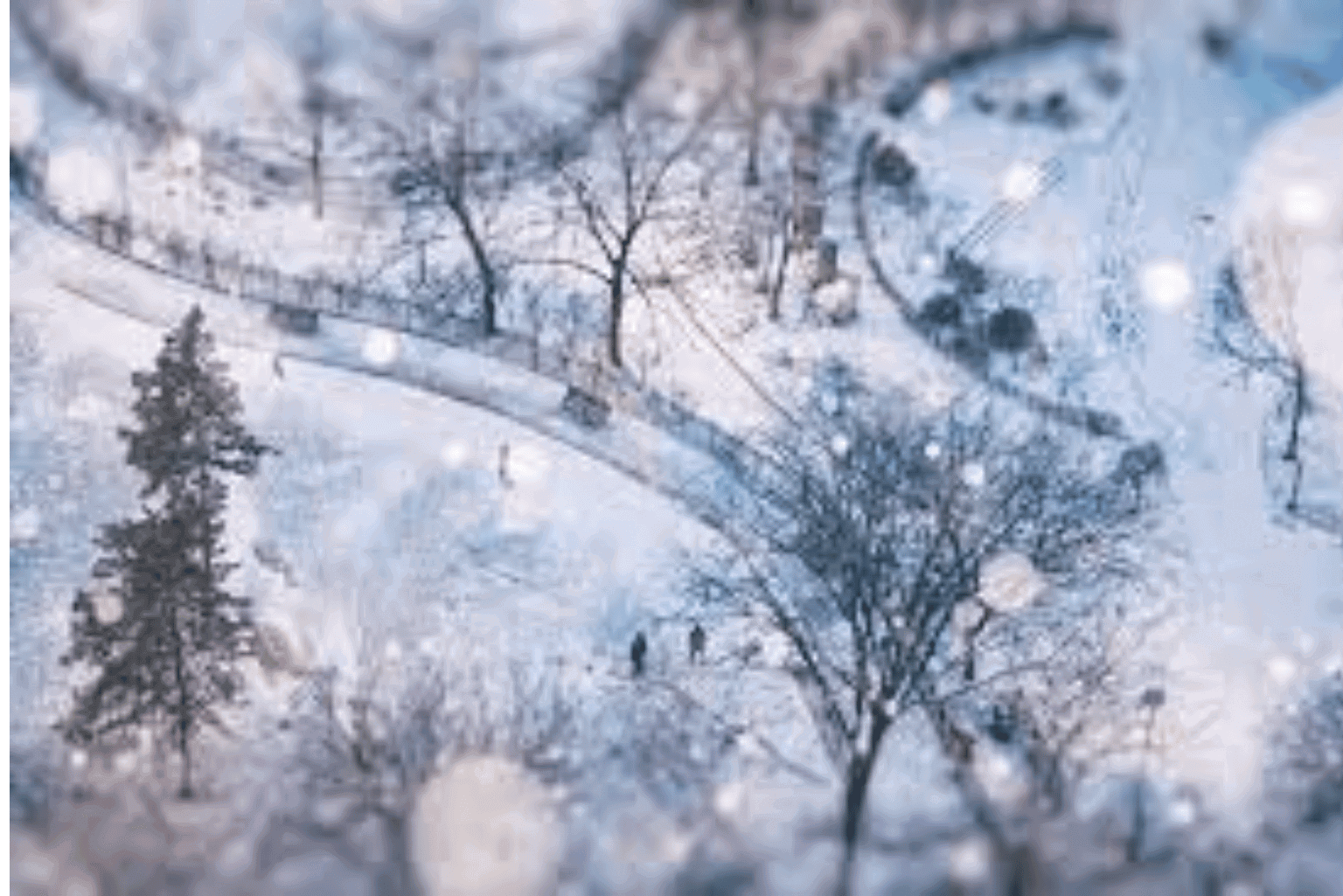Snow-covered trees and pathways in a winter park scene.