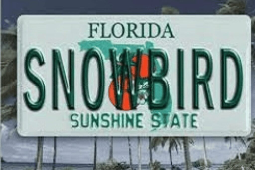 A Florida license plate with the word SNOWBIRD and the Sunshine State logo.