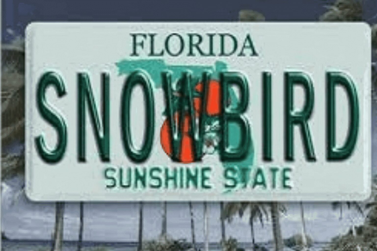 A Florida license plate with the word SNOWBIRD and the Sunshine State logo.